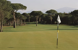Resized Faldo 4