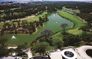 Resized Faldo 2