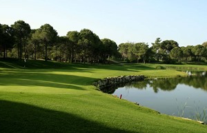 Resized Pasha 7