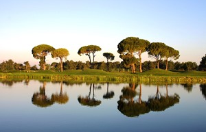 Resized National Golf 1