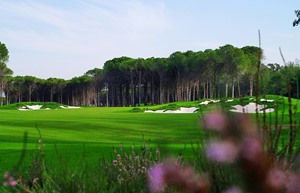 Resized Carya Golf 2
