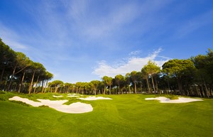 Resized Carya Golf 9