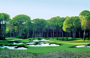 Resized Cayra Golf 6