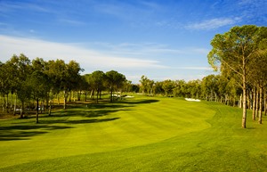 Resized Carya Golf 8