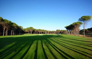 Resized Carya Golf 5