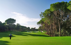 Resized Carya Golf 4