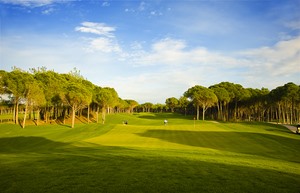 Resized Carya Golf 7