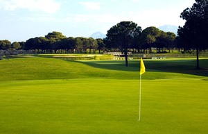 Resized Gloria Verde Course Image 3