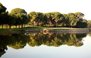 Resized Gloria Verde Course Image 5