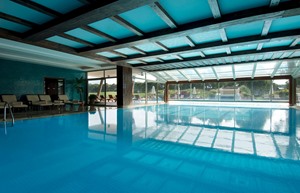 Resized 8 Indoor Pool
