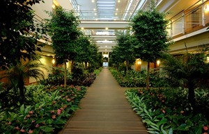 Resized Serenity Image 12