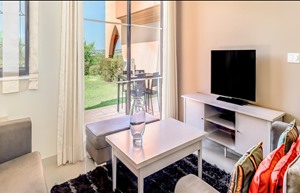 Amendoeira8