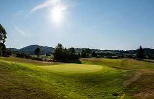 1st Green 1 product